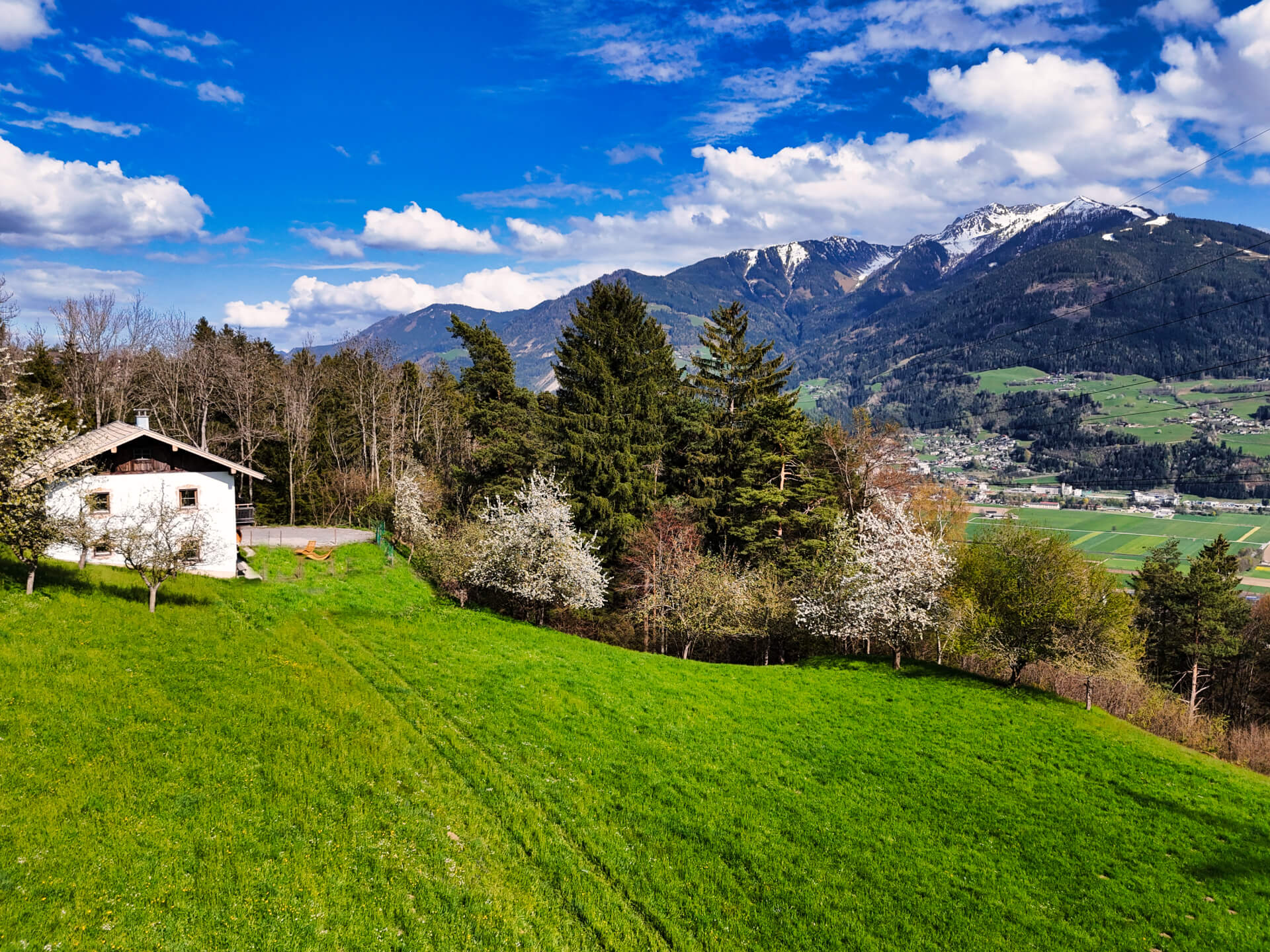 Alpenrehblick am Karwendelgebirge