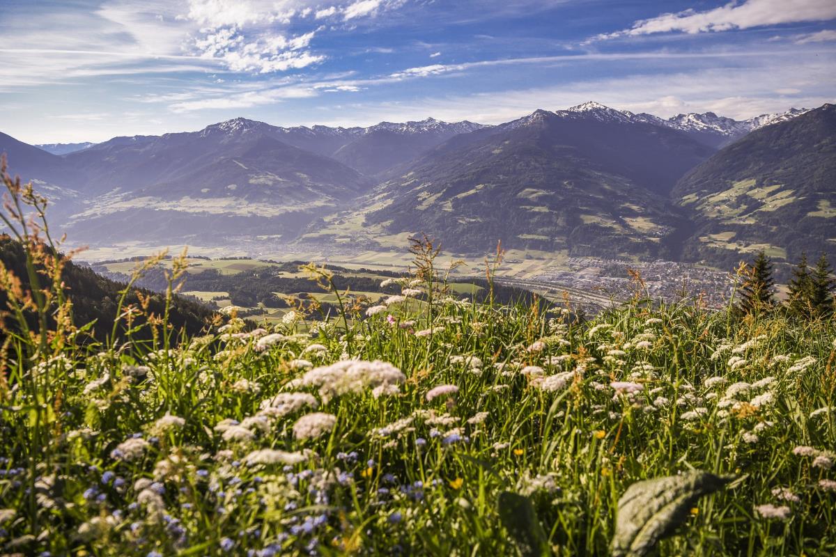 Waldsicht am Karwendelgebirge
