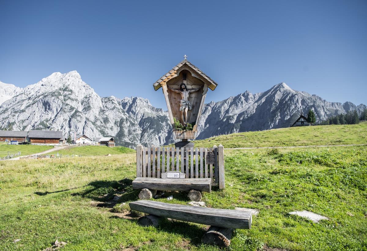 Waldsicht am Karwendelgebirge