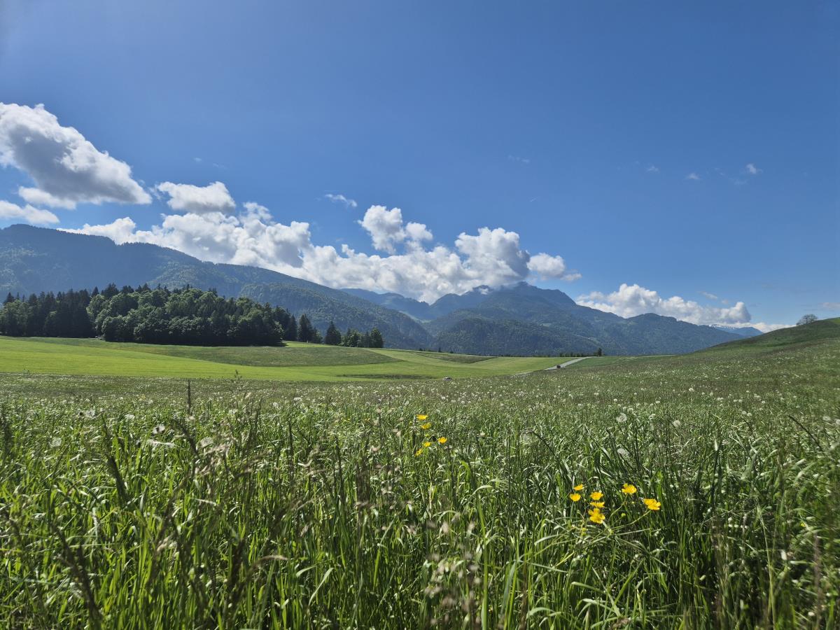 Troadkammer am Riedhof