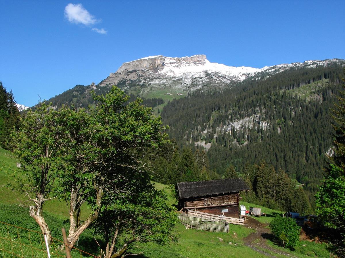 Garten-Luxuslodge Hammerspitze